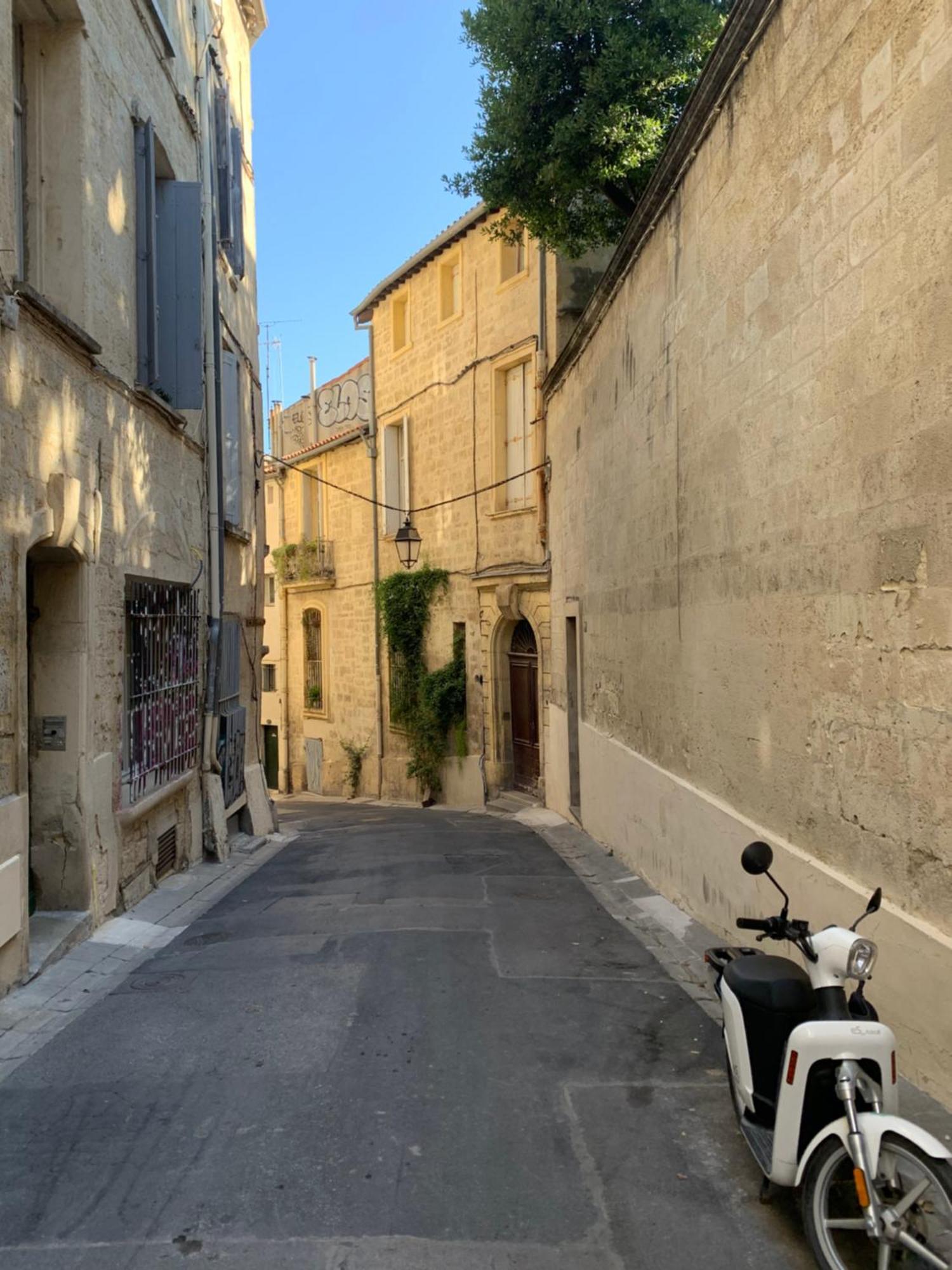 Pic Saint View Grand Corum Montpellier Eksteriør billede